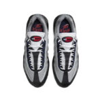Air Max 95 Corteiz Grau